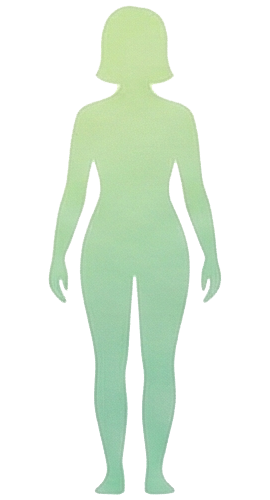 BMI 체형 실루엣